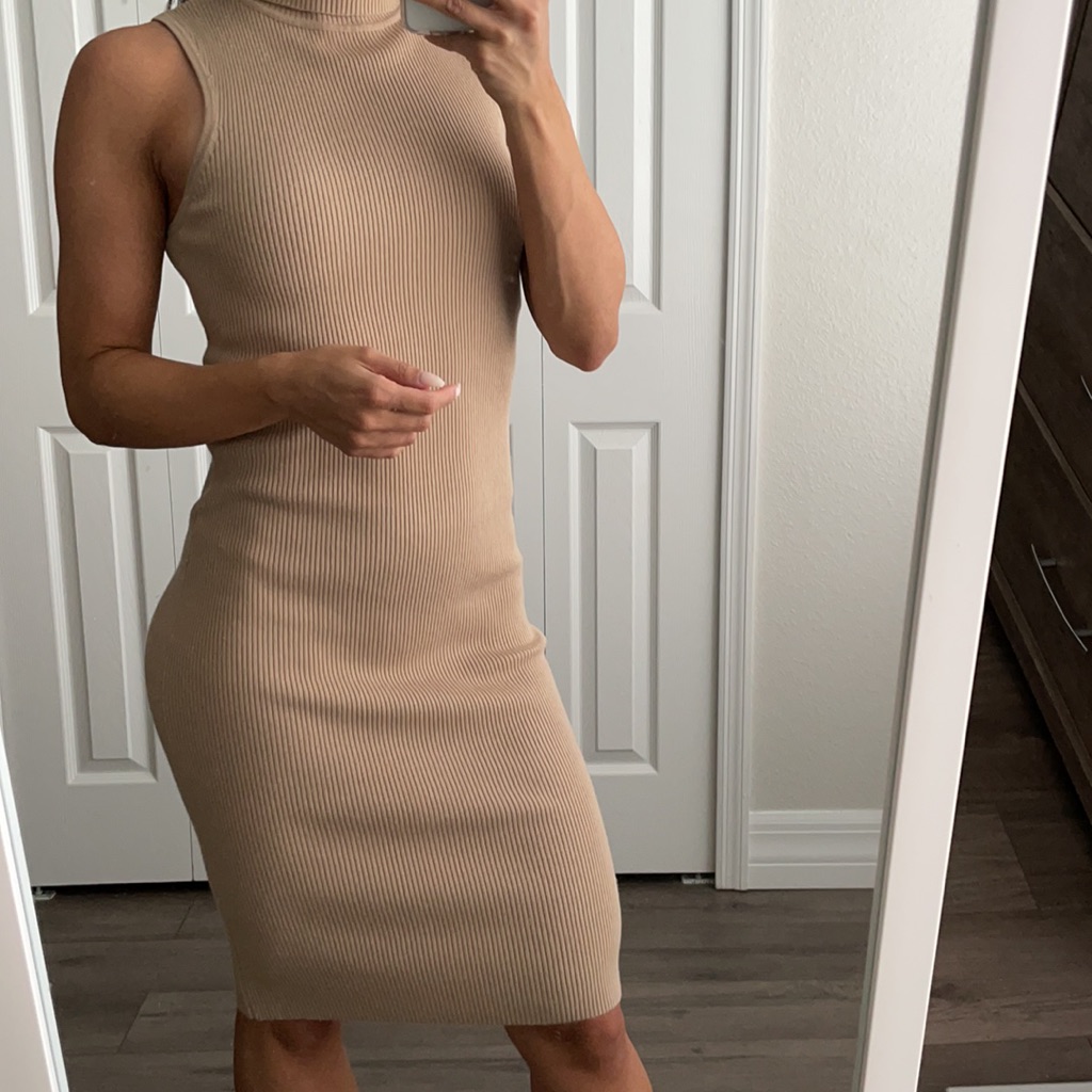 Akira Turtle Neck Dress